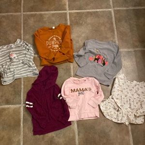 2T long sleeve sweatshirt lot